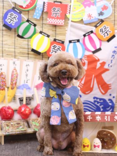 20240716くぅくん